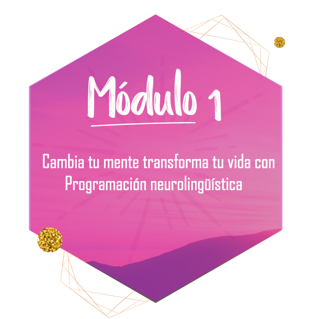 modulo-1-991x1024