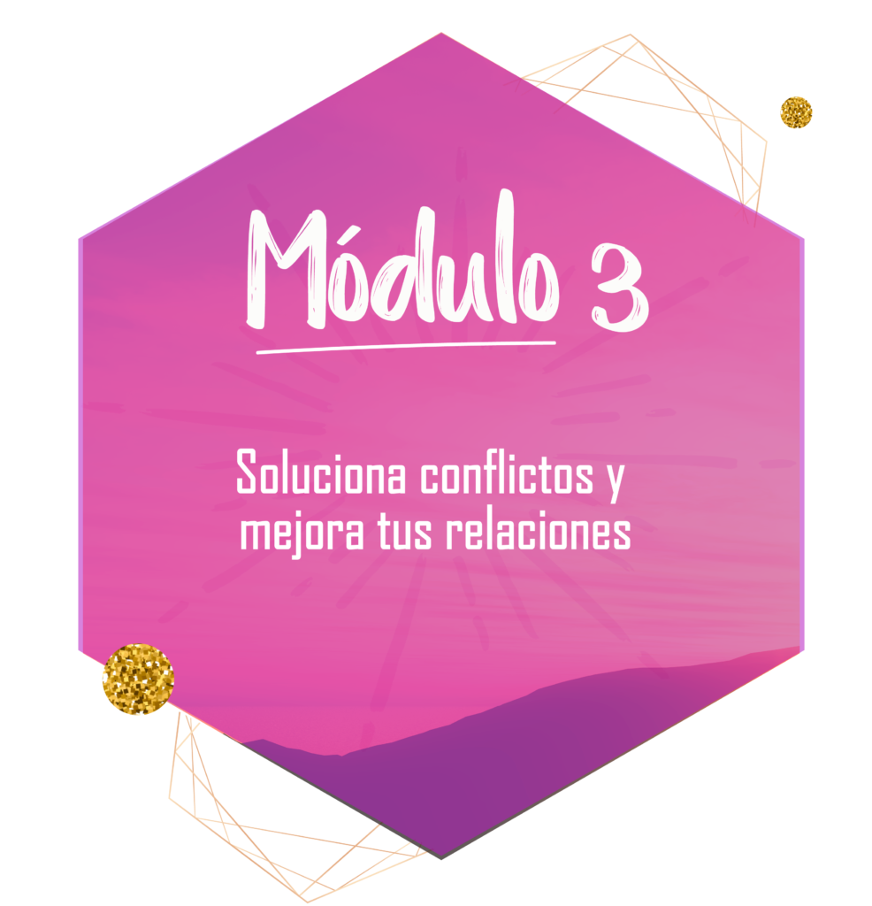modulo-3-986x1024