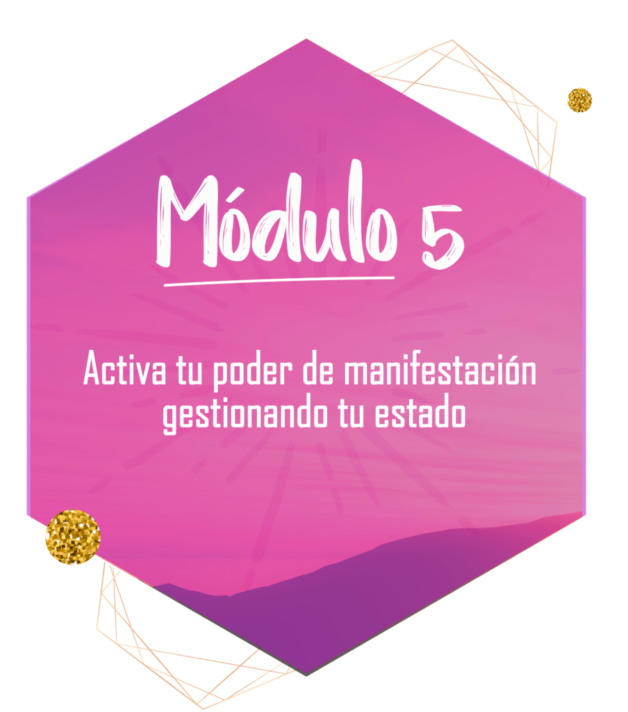 modulo-5-904x1024
