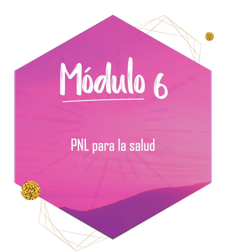 modulo-6-934x1024